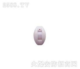 振南探測(cè)器 安防科技先鋒，加盟店優(yōu)勢(shì)解析